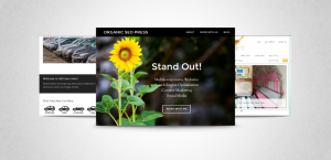Web Design Screen Shots