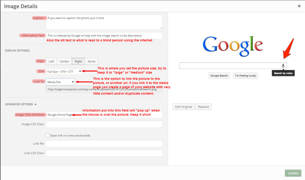 image seo - alt image
