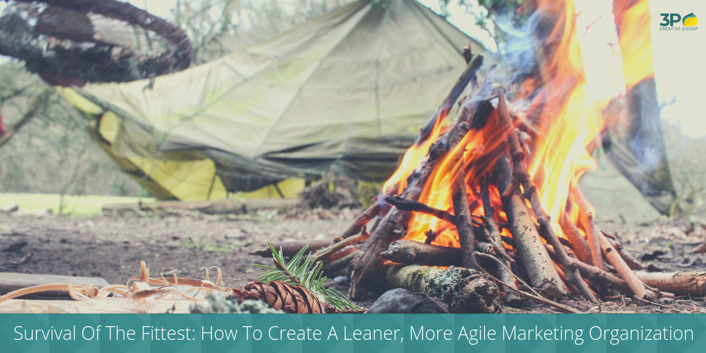 Survival Of The Fittest_ How To Create A Leaner, More Agile Marketing Organization